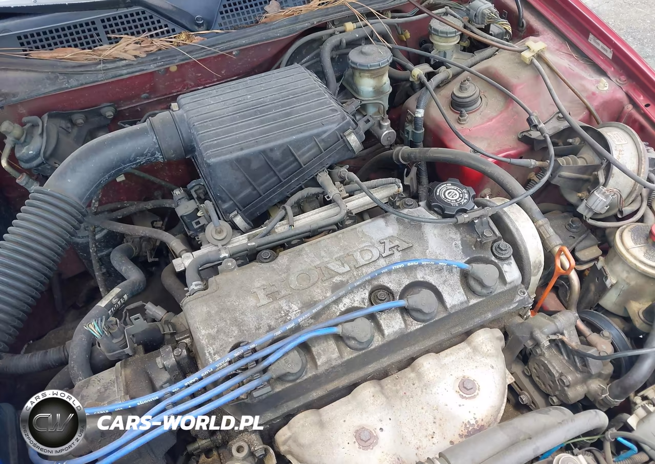 1997 Honda Civic Lx VIN:1HGEJ6577VL007210 - 10