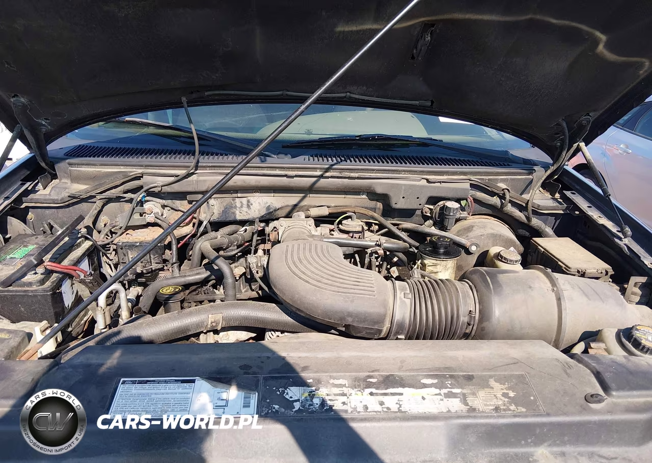 2000 Ford Expedition Eddie Bauer VIN:1FMPU18L8YLA02351 - 10