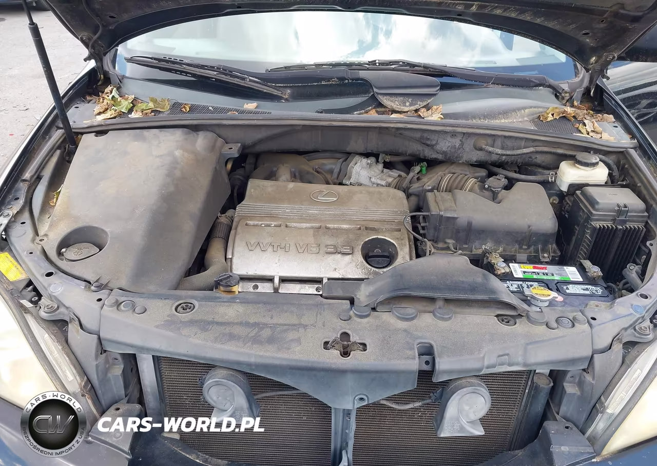 2005 Lexus Rx 330 VIN:2T2HA31U25C066657 - 10
