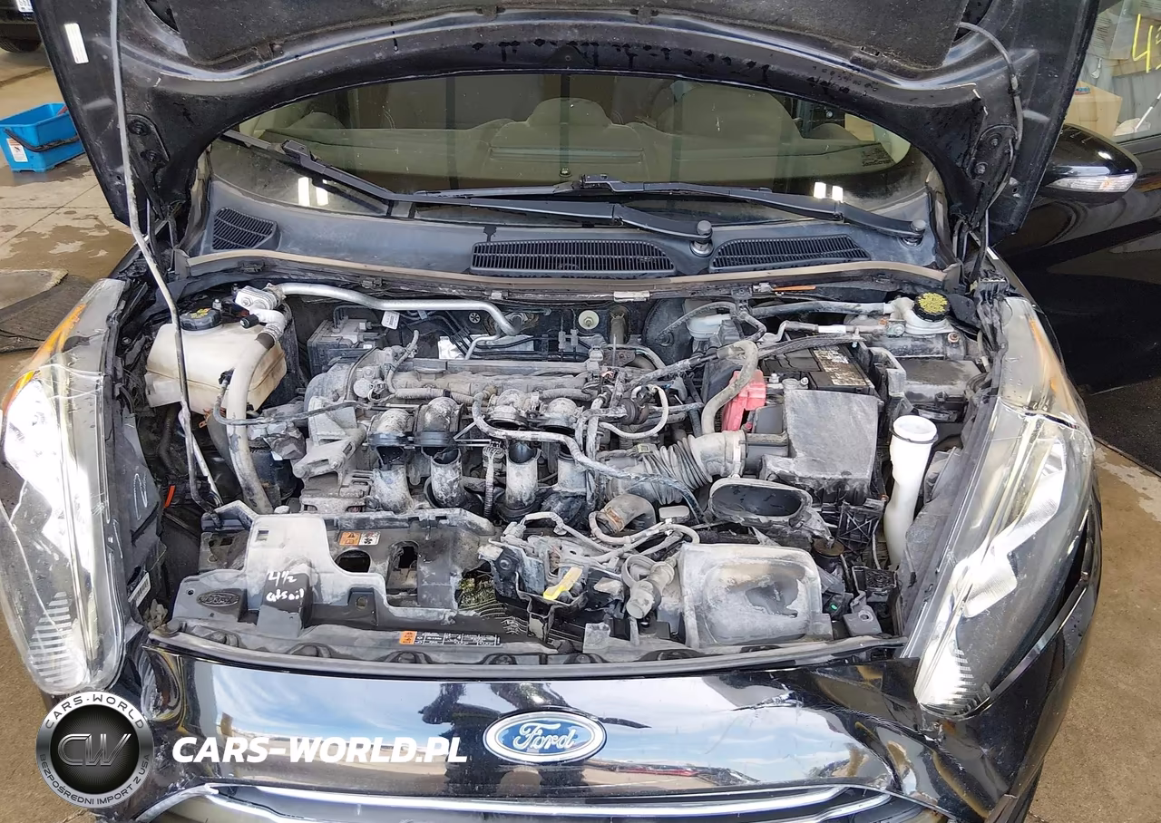 2016 Ford Fiesta Se VIN:3FADP4BJ1GM154577 - 10