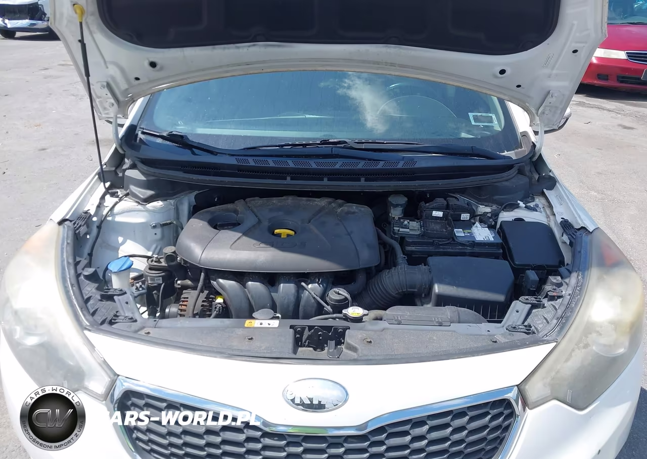 2014 Kia Forte Ex VIN:KNAFX5A81E5163531 - 10