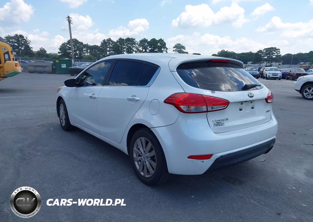 2014 Kia Forte Ex VIN:KNAFX5A81E5163531 - 3