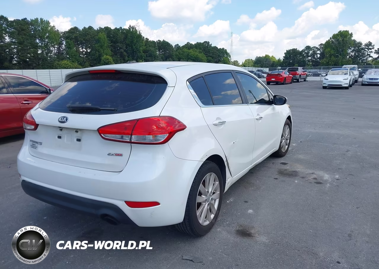 2014 Kia Forte Ex VIN:KNAFX5A81E5163531 - 4