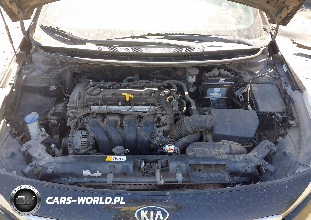 2017 Kia Forte Lx VIN:3KPFK4A79HE139442 - 10