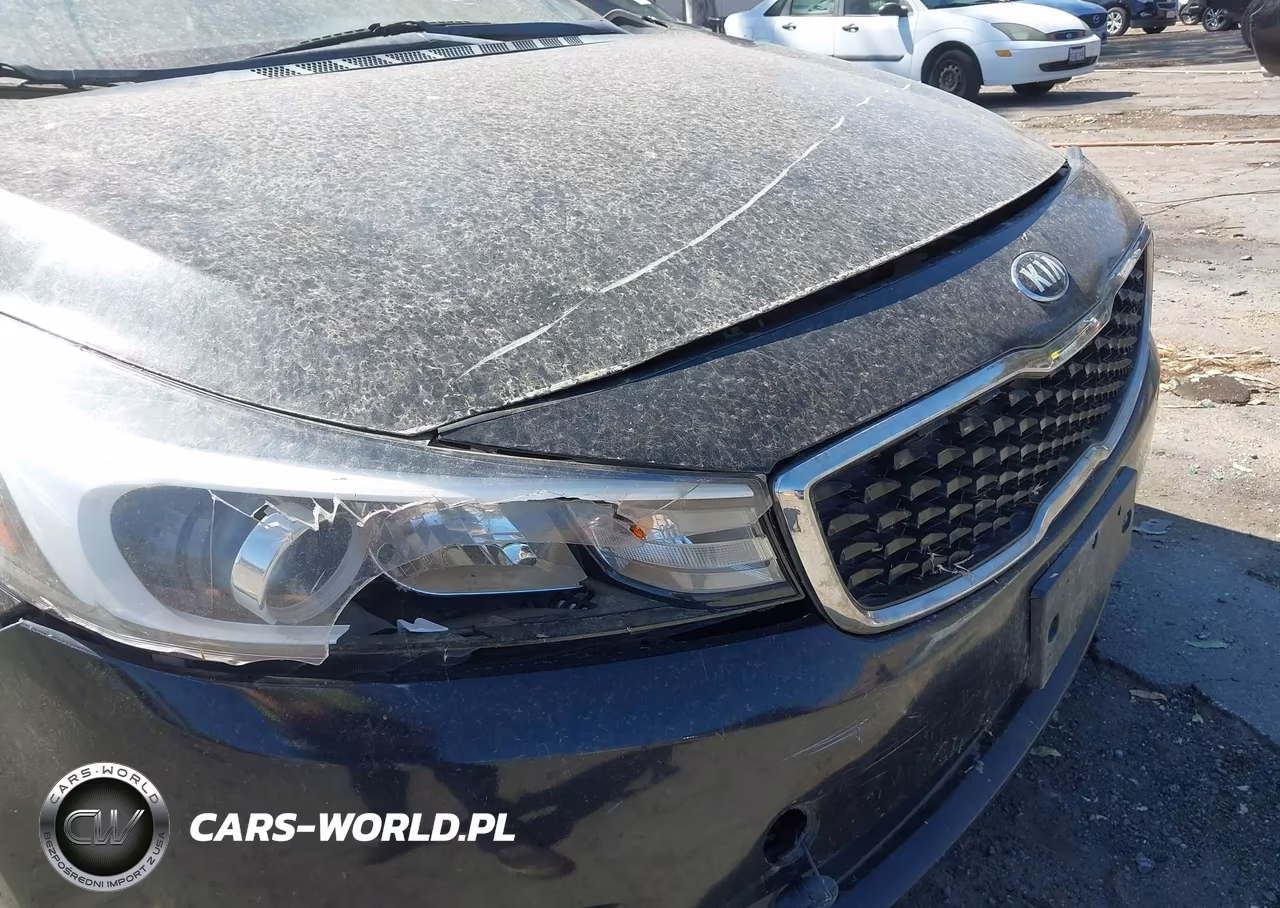 2017 Kia Forte Lx VIN:3KPFK4A79HE139442 - 12