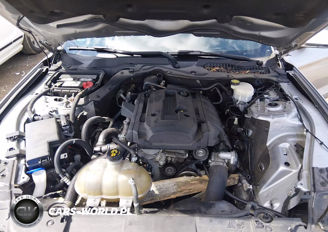 2020 Ford Mustang Ecoboost Premium Fastback VIN:1FA6P8TH1L5124006 - 10