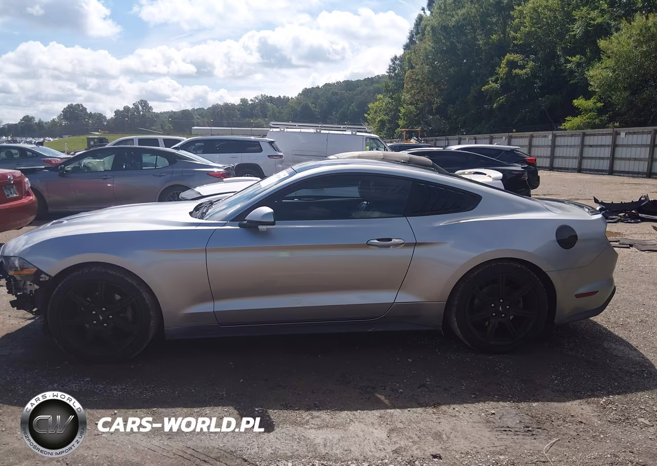2020 Ford Mustang Ecoboost Premium Fastback VIN:1FA6P8TH1L5124006 - 14