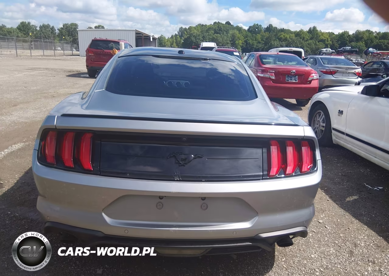 2020 Ford Mustang Ecoboost Premium Fastback VIN:1FA6P8TH1L5124006 - 16