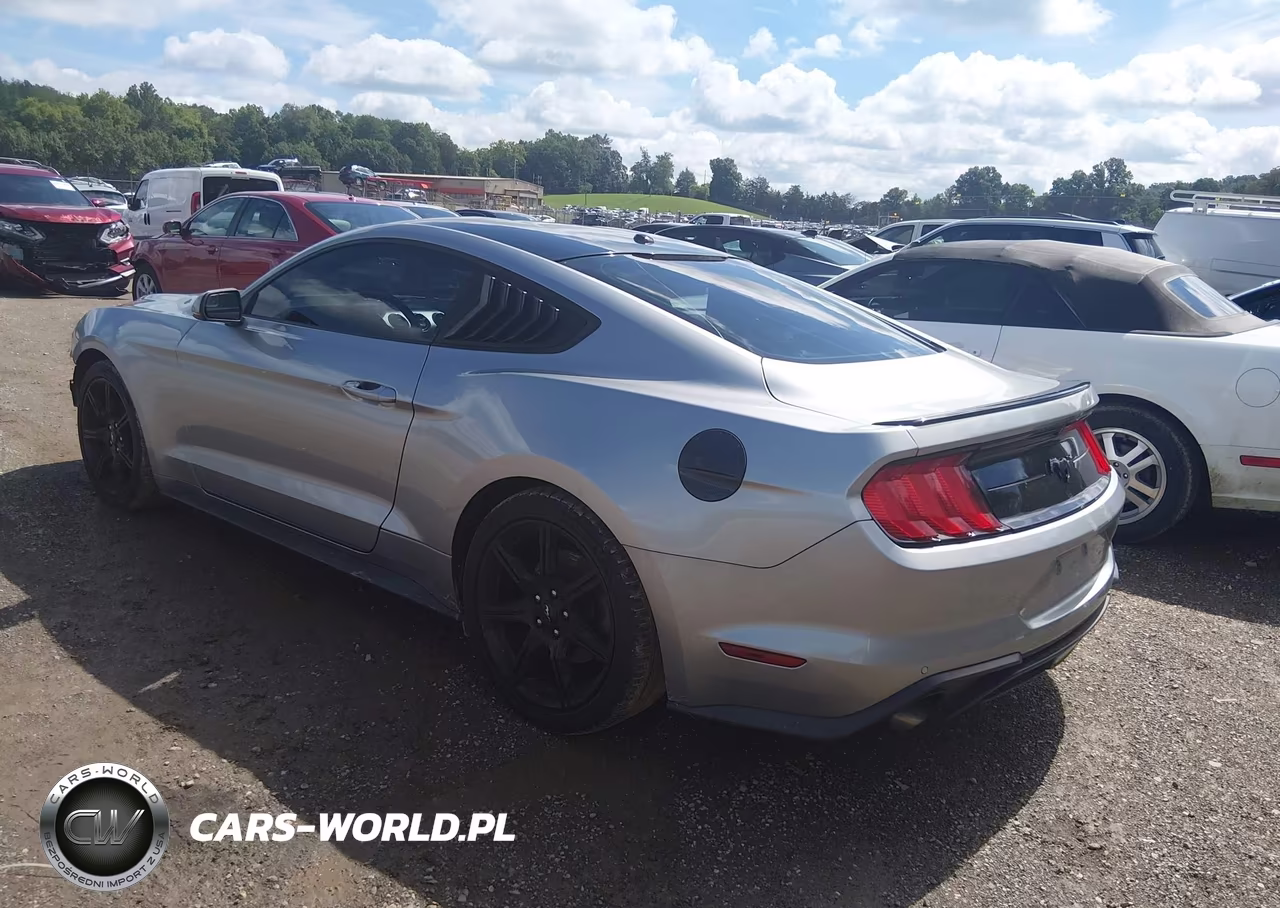 2020 Ford Mustang Ecoboost Premium Fastback VIN:1FA6P8TH1L5124006 - 3