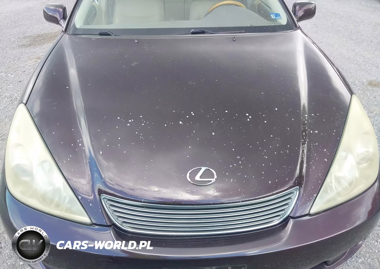 2005 Lexus Es 330 VIN:JTHBA30G655136775 - 13
