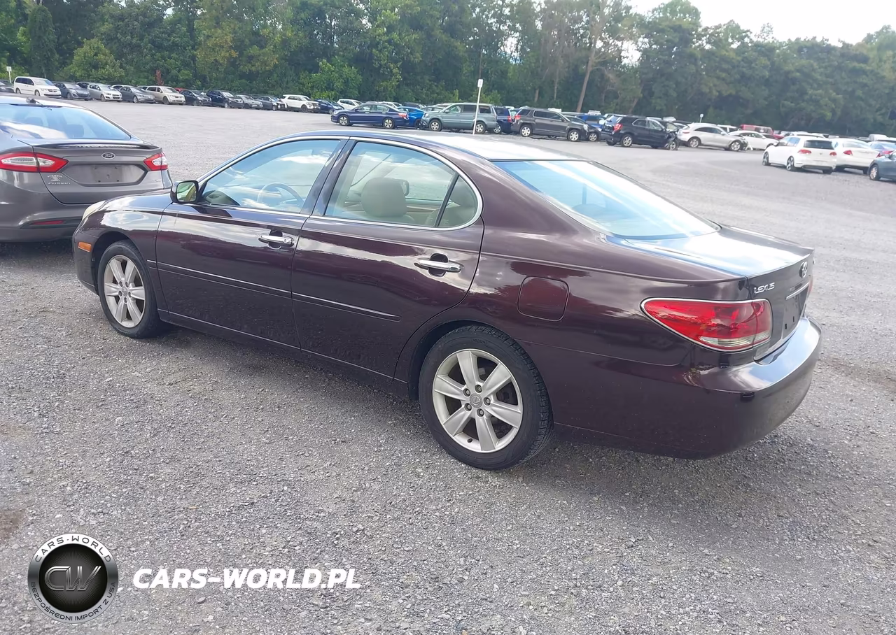 2005 Lexus Es 330 VIN:JTHBA30G655136775 - 3