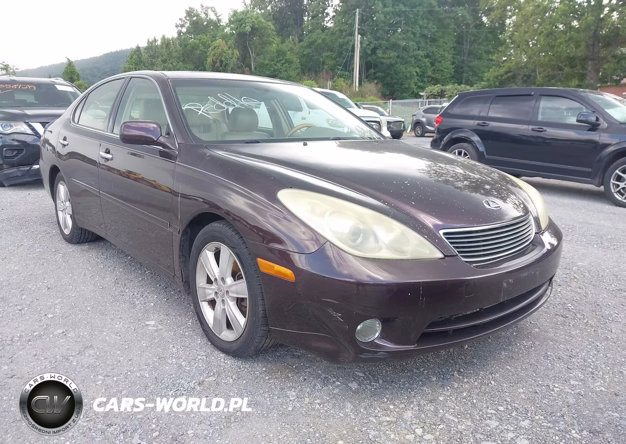2005 Lexus Es 330 VIN:JTHBA30G655136775 - 6