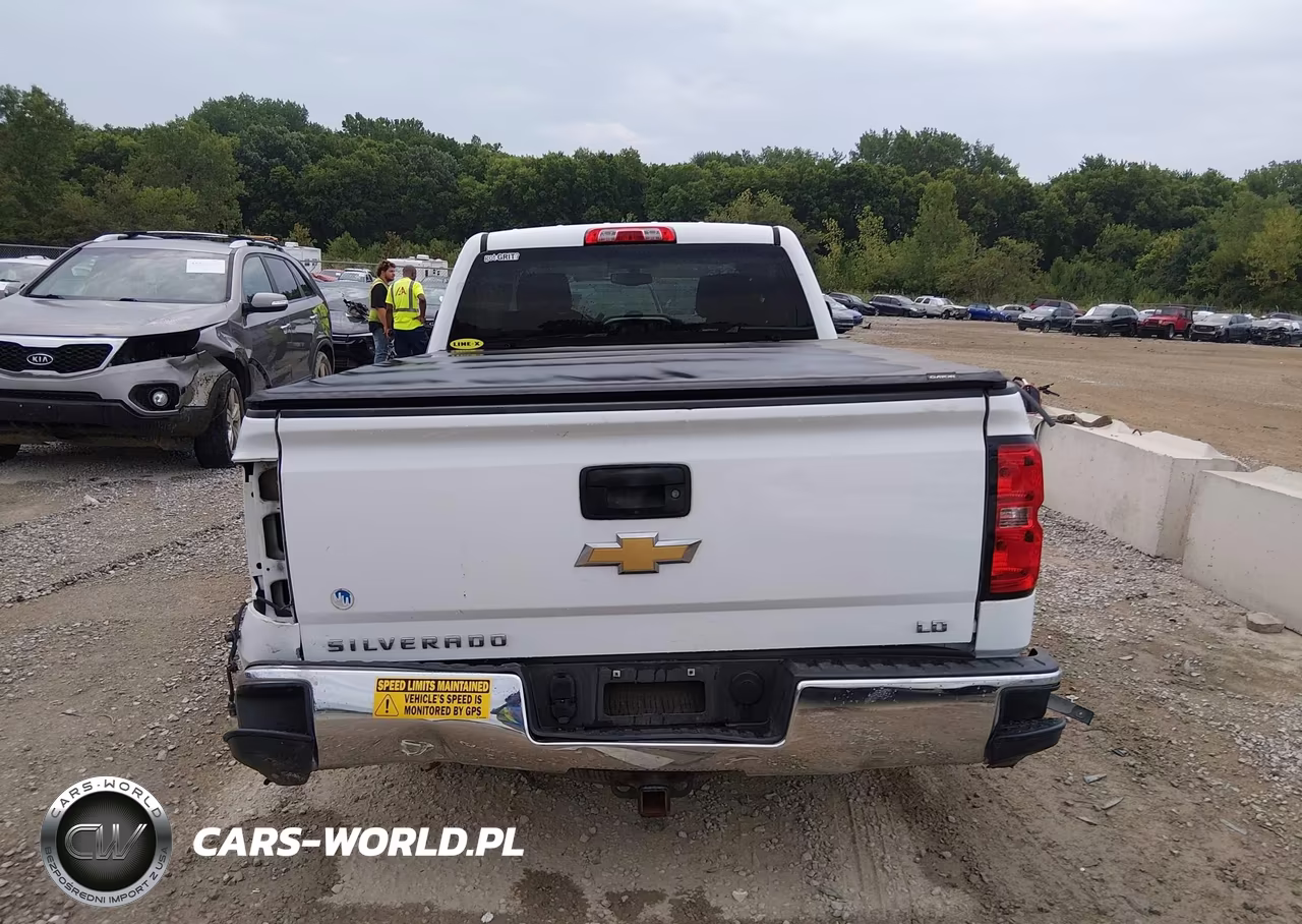 2019 Chevrolet Silverado 1500 Ld Lt VIN:2GCVKPEC6K1198084 - 16