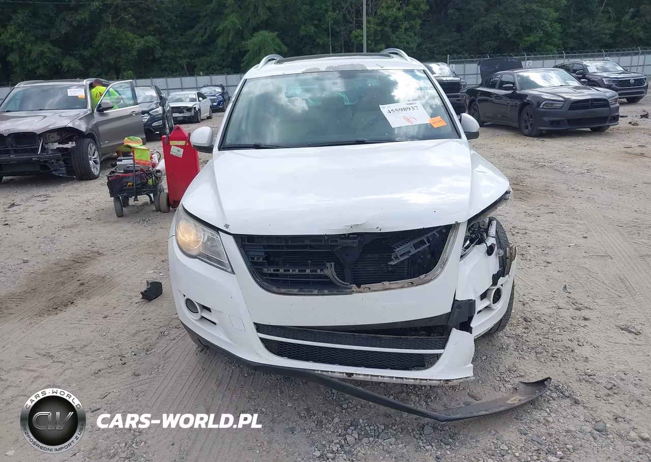 2010 Volkswagen Tiguan Wolfsburg Edition VIN:WVGAV7AX8AW523920 - 12