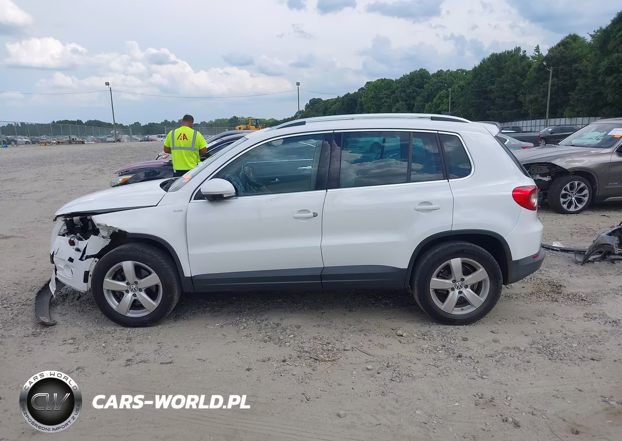 2010 Volkswagen Tiguan Wolfsburg Edition VIN:WVGAV7AX8AW523920 - 14