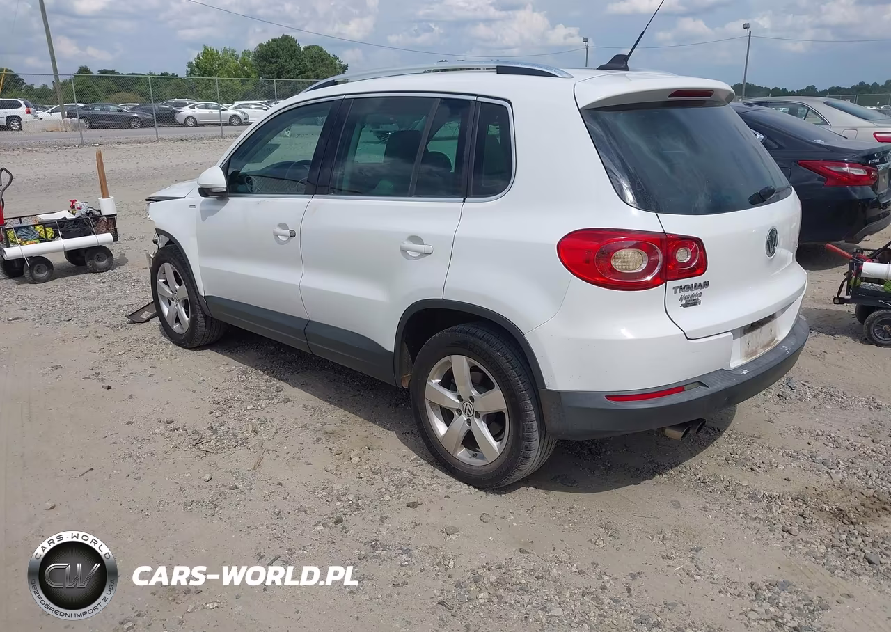 2010 Volkswagen Tiguan Wolfsburg Edition VIN:WVGAV7AX8AW523920 - 3