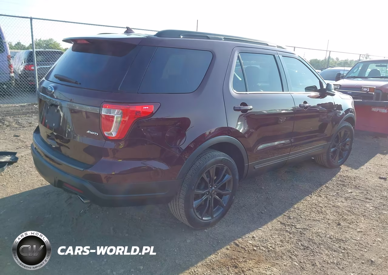 2019 Ford Explorer Xlt VIN:1FM5K8D86KGA06230 - 4