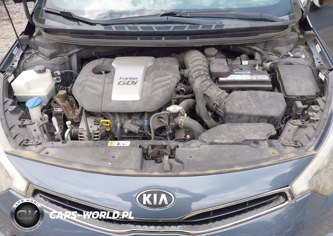 2015 Kia Forte Sx VIN:KNAFZ5A37F5370828 - 10