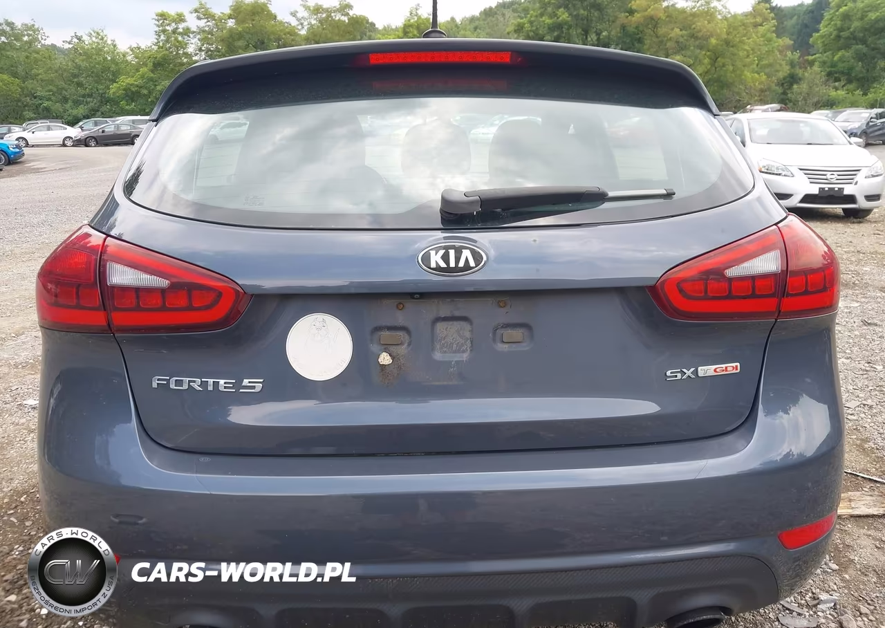 2015 Kia Forte Sx VIN:KNAFZ5A37F5370828 - 16