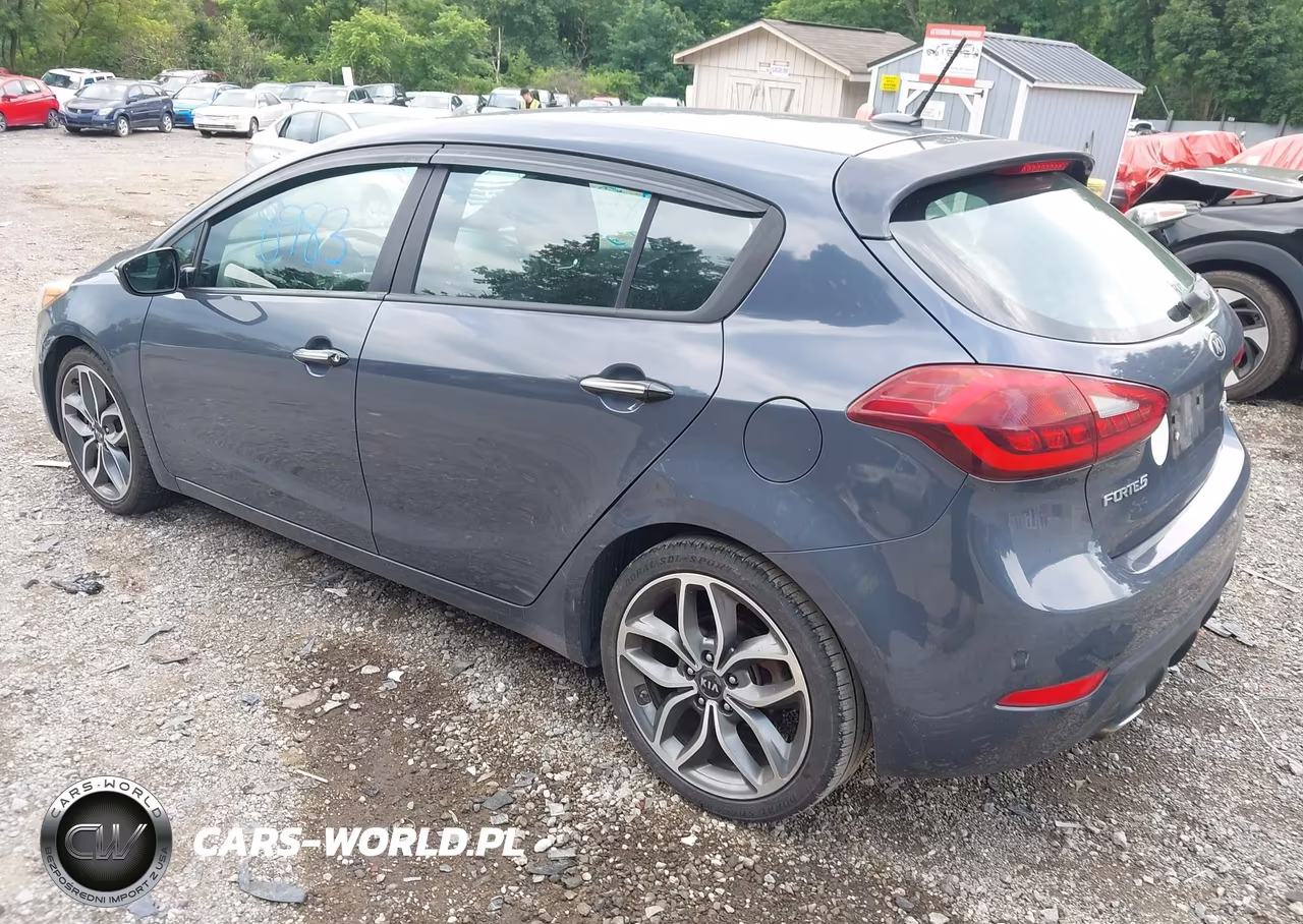 2015 Kia Forte Sx VIN:KNAFZ5A37F5370828 - 3