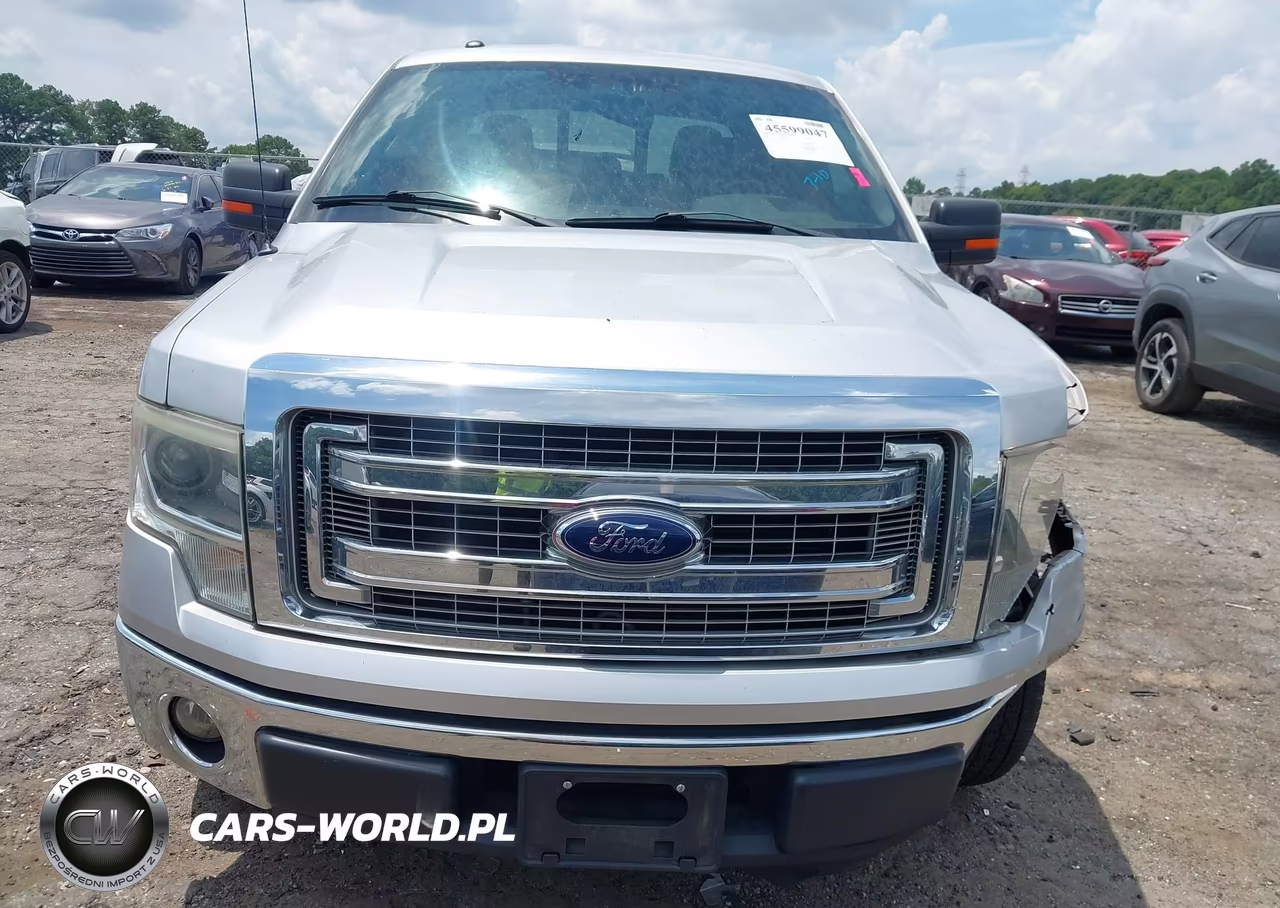 2014 Ford F-150 Xlt VIN:1FTFW1CF9EKE62681 - 12