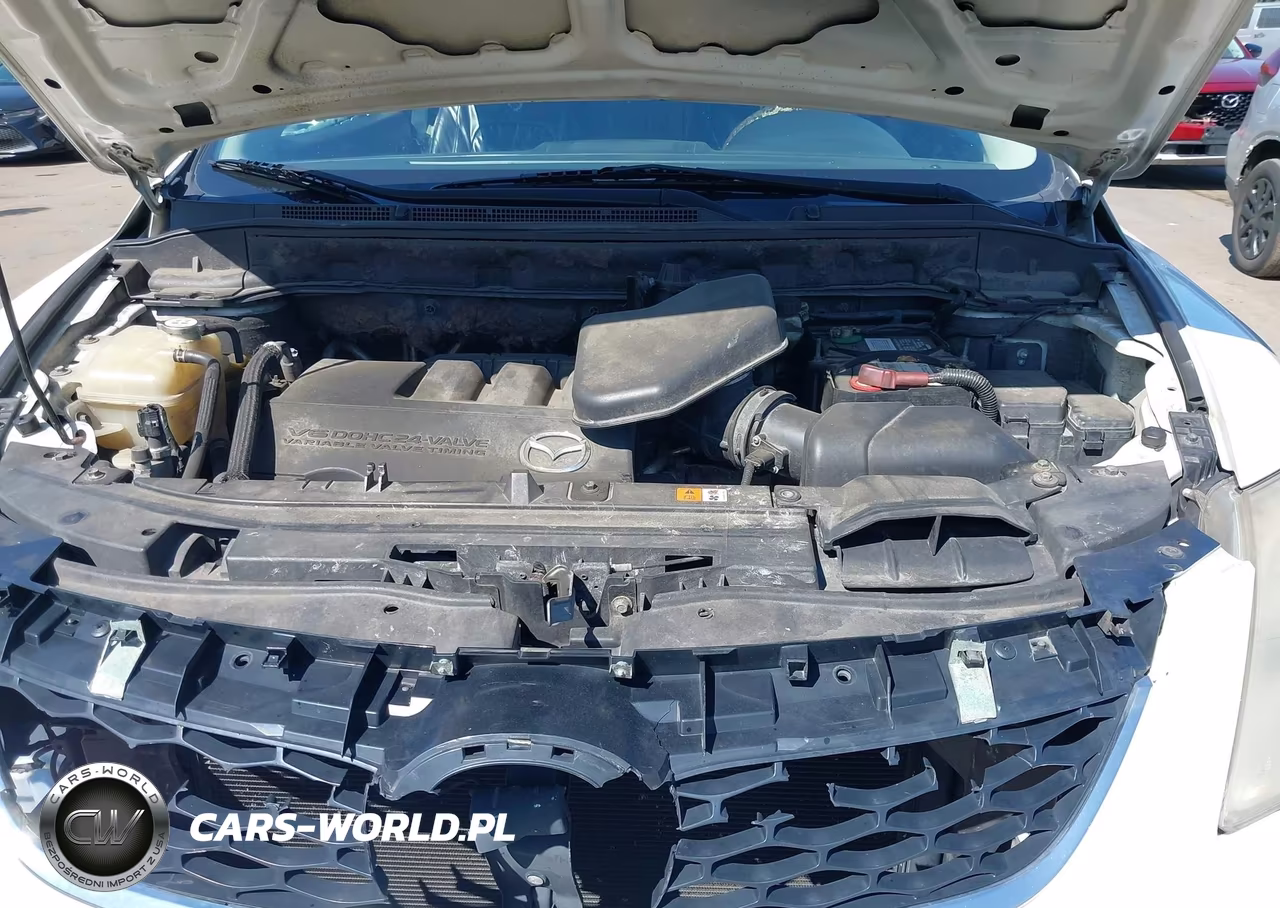 2010 Mazda Cx-9 Touring VIN:JM3TB3MV8A0233258 - 10