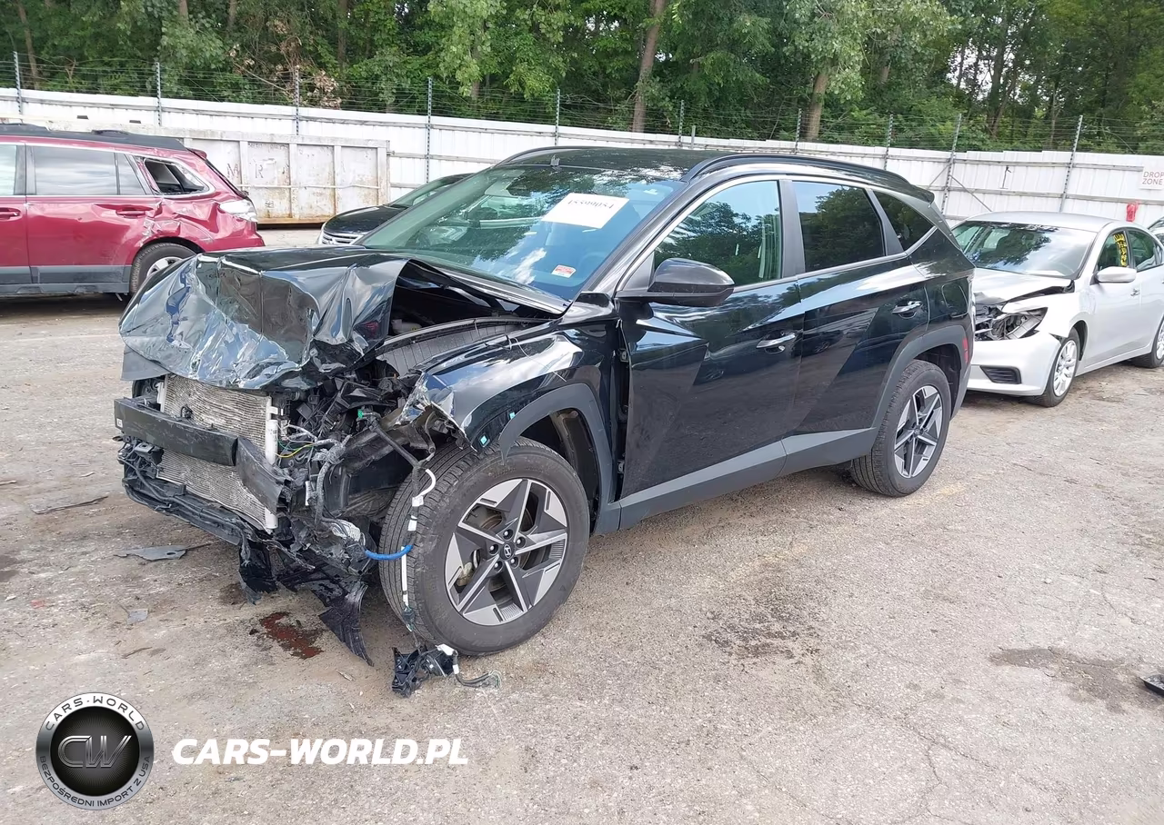 2025 Hyundai Tucson Sel VIN:5NMJBCDE3SH557817 - 2