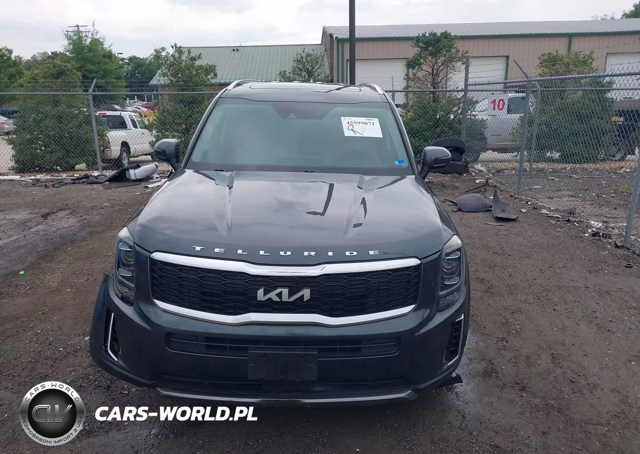 2022 Kia Telluride S VIN:5XYP64HC4NG227325 - 12