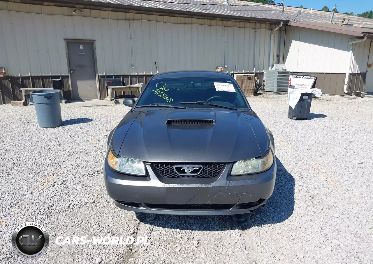 2003 Ford Mustang VIN:1FAFP40483F420659 - 12