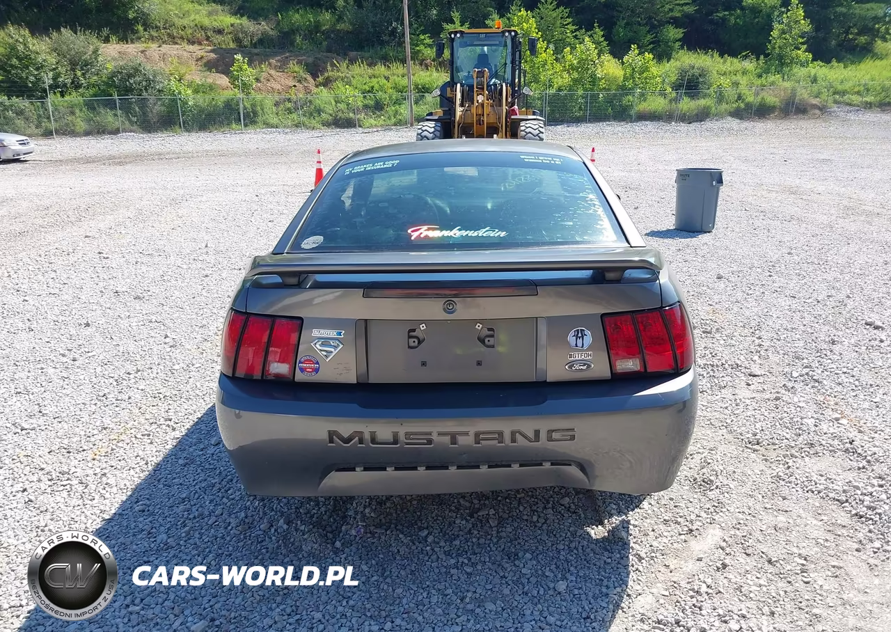 2003 Ford Mustang VIN:1FAFP40483F420659 - 16
