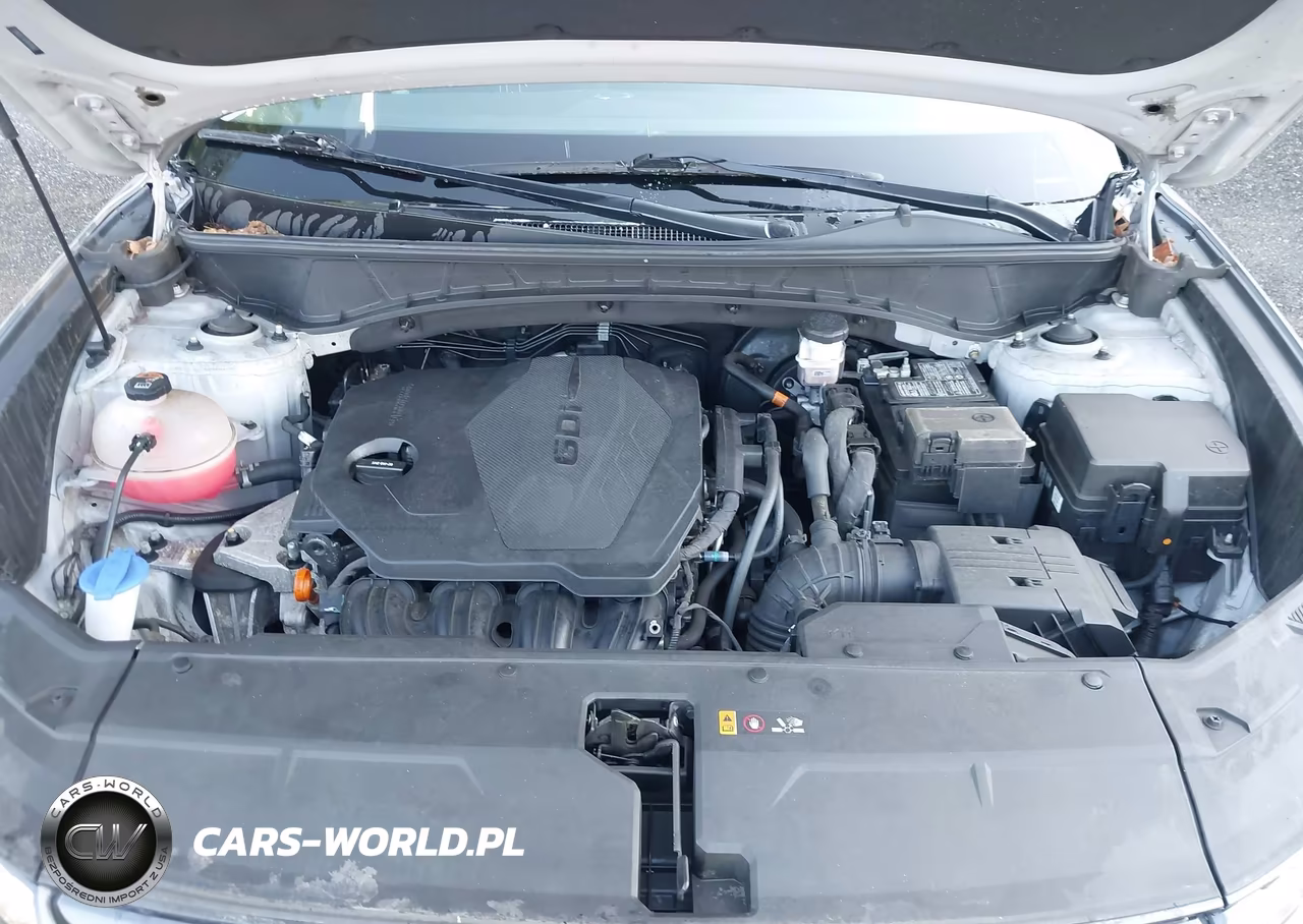 2023 Hyundai Tucson Sel VIN:5NMJBCAE4PH264925 - 10