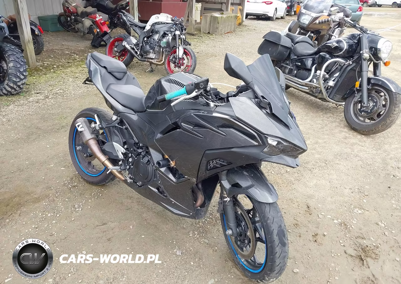 2024 Kawasaki Ex500