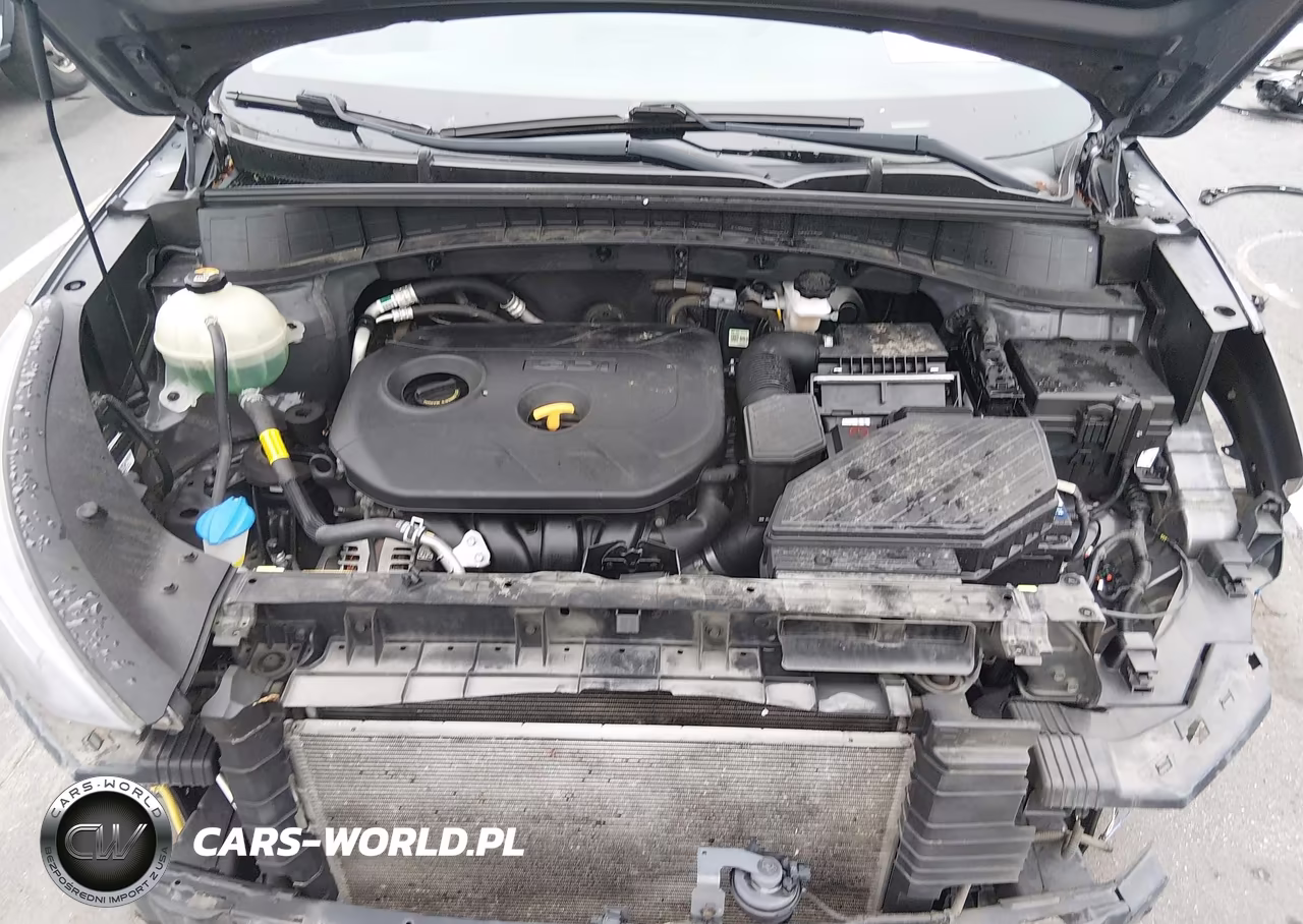 2020 Hyundai Tucson Value VIN:KM8J33A45LU264774 - 10