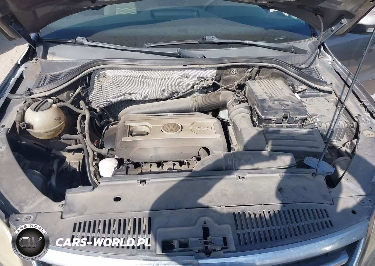 2010 Volkswagen Tiguan S VIN:WVGAV7AX1AW514508 - 10