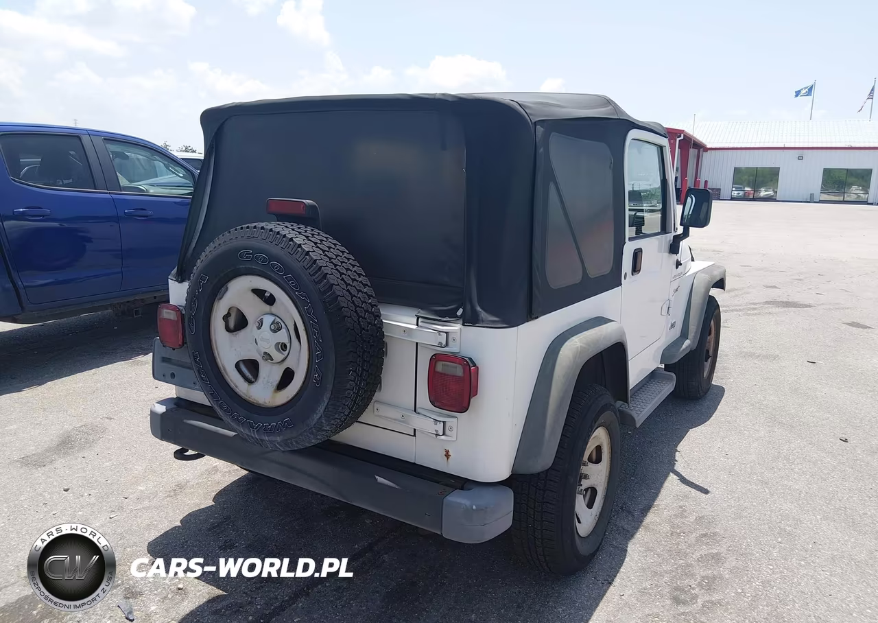2002 Jeep Wrangler Sport VIN:1J4FA49S52P771870 - 4
