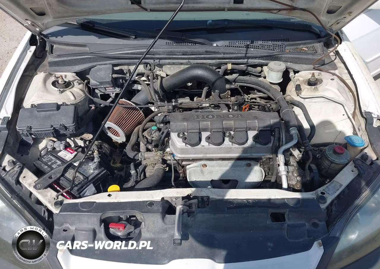 2004 Honda Civic Lx VIN:2HGES16564H541646 - 10