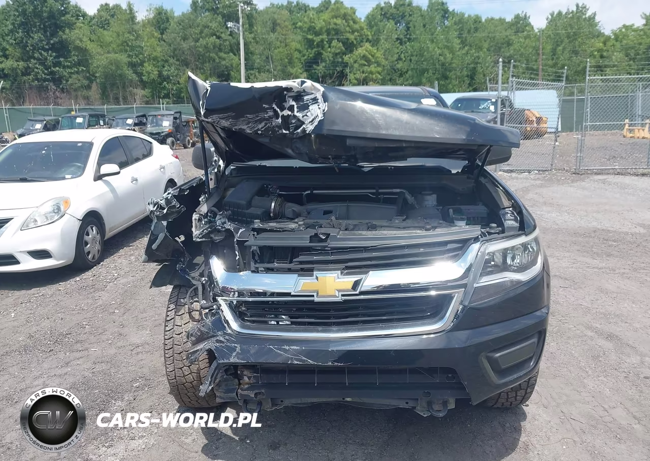 2015 Chevrolet Colorado 4Wd Wt VIN:1GCHTAEA7F1230493 - 12