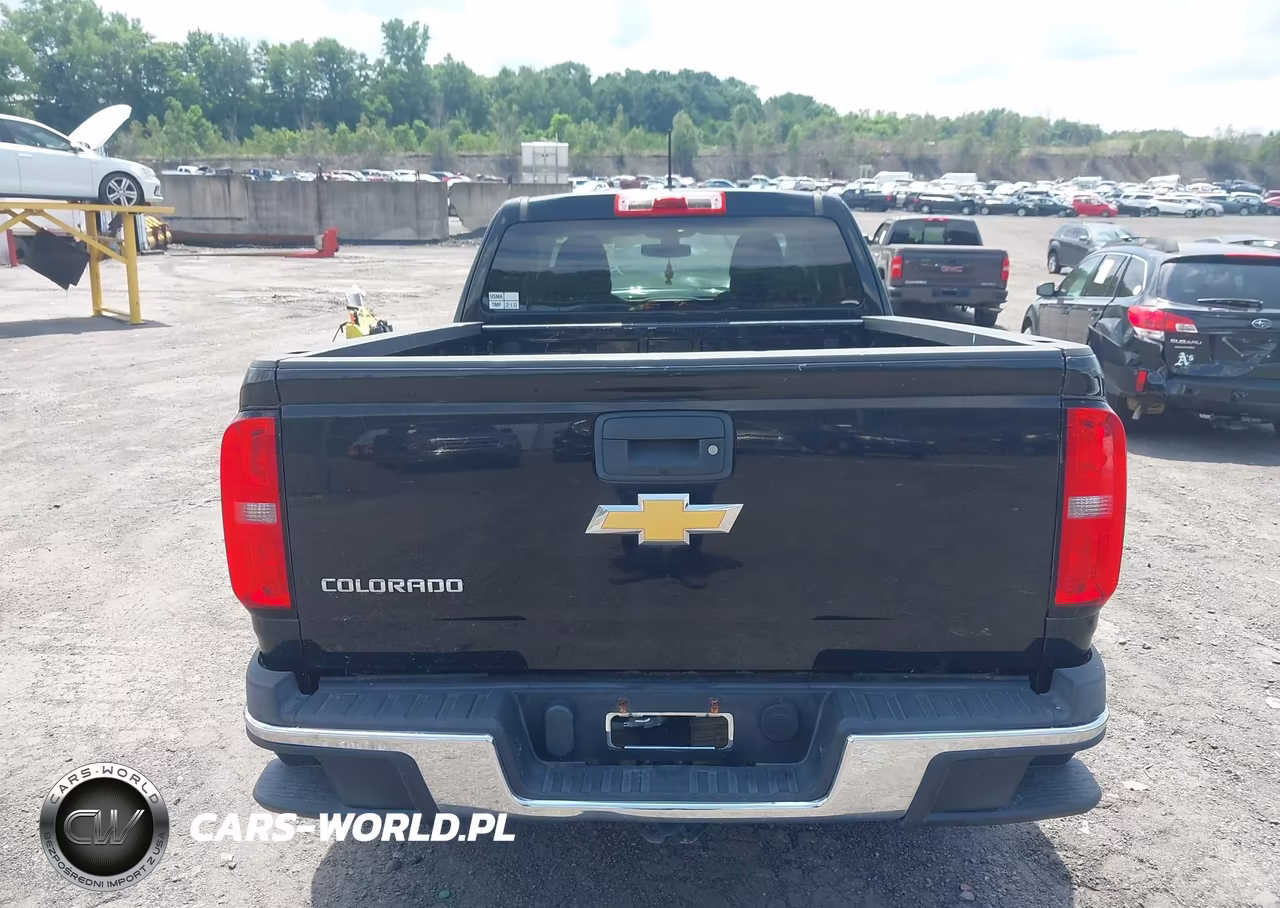 2015 Chevrolet Colorado 4Wd Wt VIN:1GCHTAEA7F1230493 - 16
