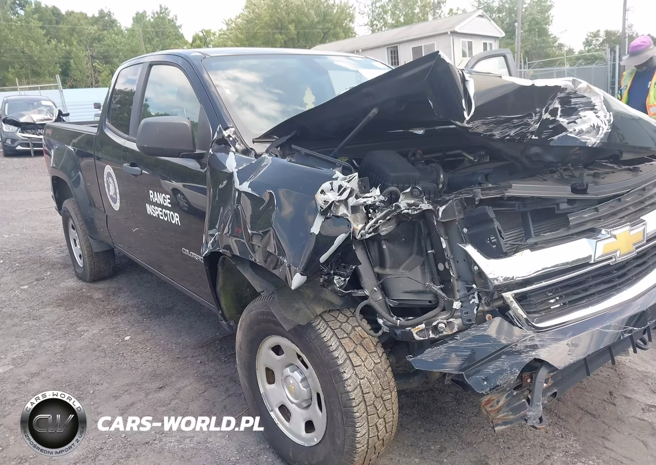 2015 Chevrolet Colorado 4Wd Wt VIN:1GCHTAEA7F1230493 - 17