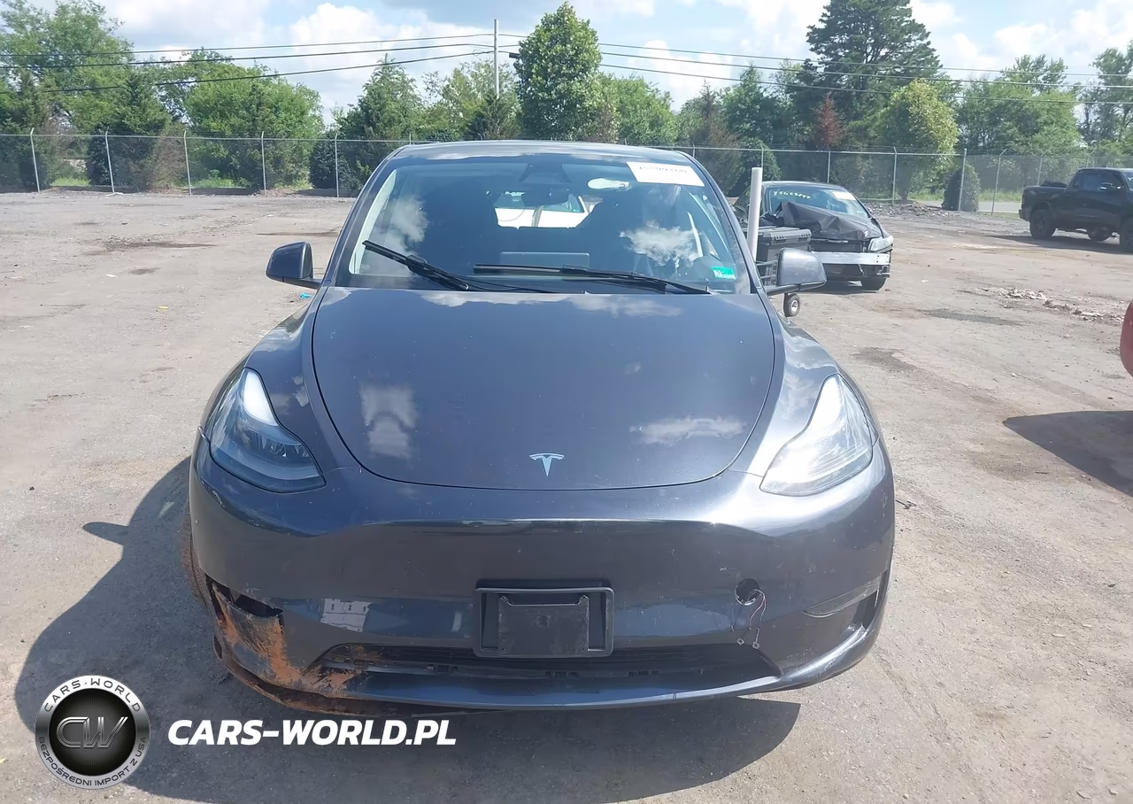 2024 Tesla Model Y Long Range Dual Motor All-Wheel Drive VIN:7SAYGDEE9RA304551 - 11