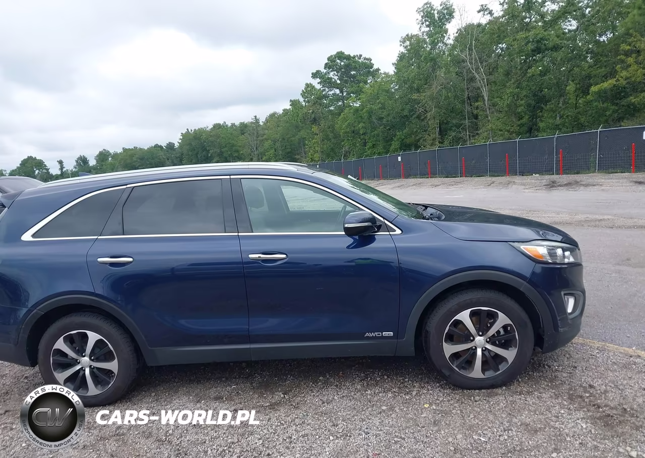 2017 Kia Sorento 3.3L Ex VIN:5XYPHDA52HG303893 - 14
