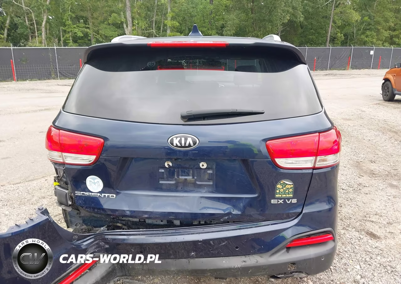 2017 Kia Sorento 3.3L Ex VIN:5XYPHDA52HG303893 - 17