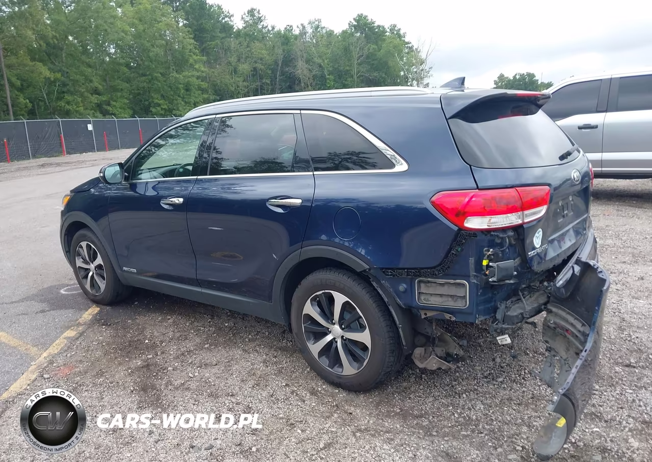 2017 Kia Sorento 3.3L Ex VIN:5XYPHDA52HG303893 - 3