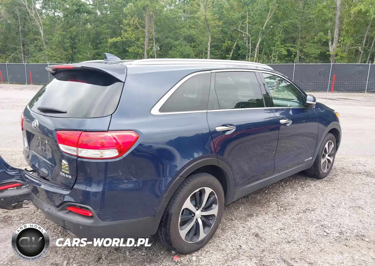 2017 Kia Sorento 3.3L Ex VIN:5XYPHDA52HG303893 - 4