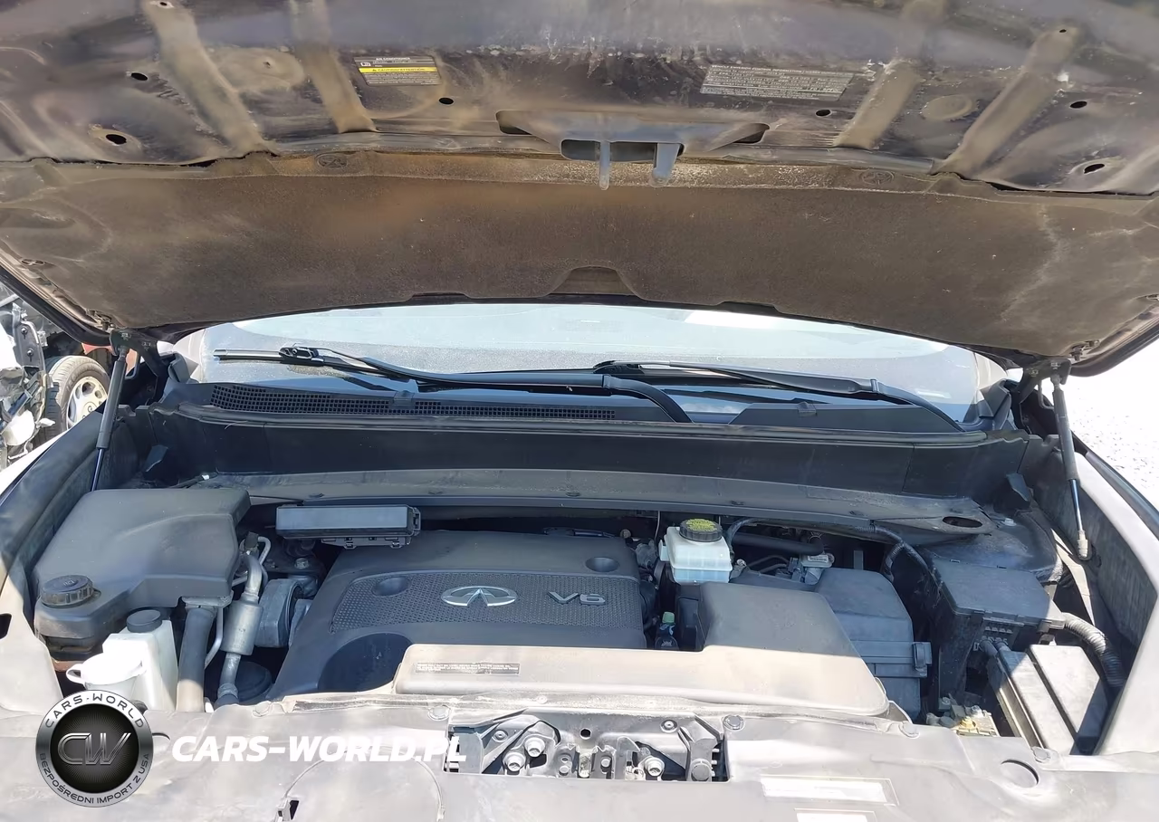 INFINITI QX60 VIN:5N1AL0MM8GC508228 - 10