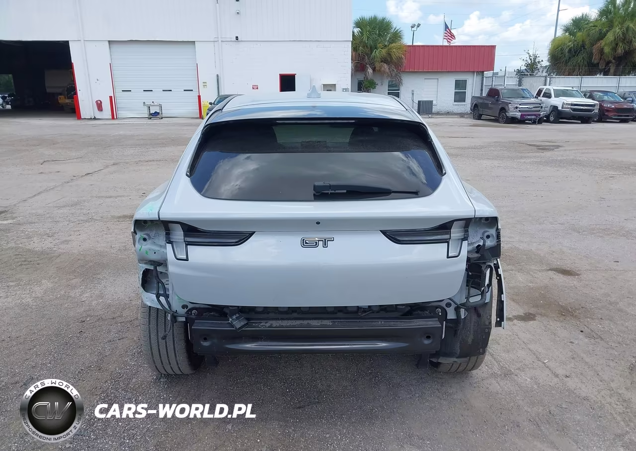 2021 Ford Mustang Mach-E Gt VIN:3FMTK4SE9MME04145 - 16