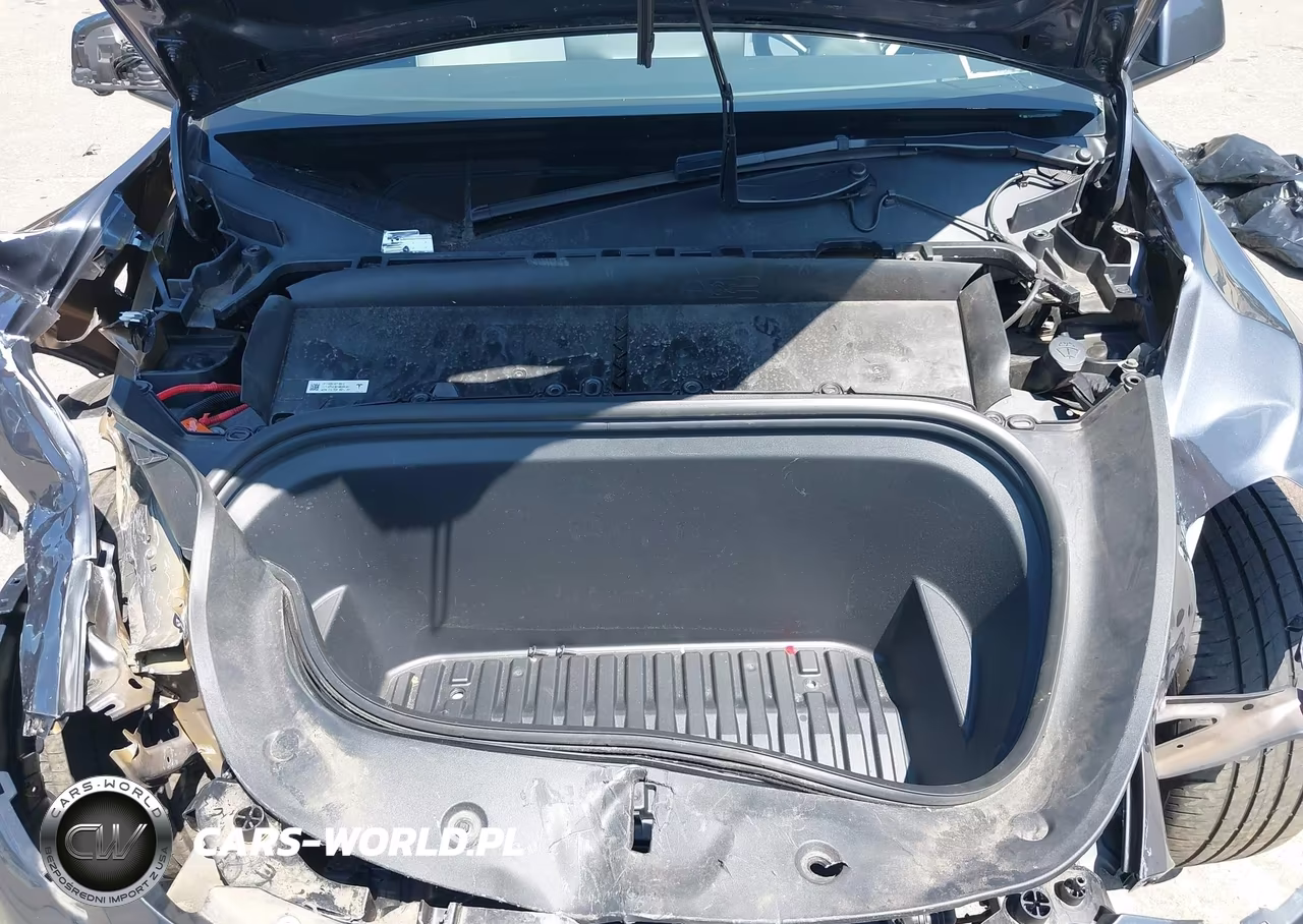 2023 Tesla Model Y Awd-Long Range Dual Motor All-Wheel Drive VIN:7SAYGDEE8PF861418 - 10