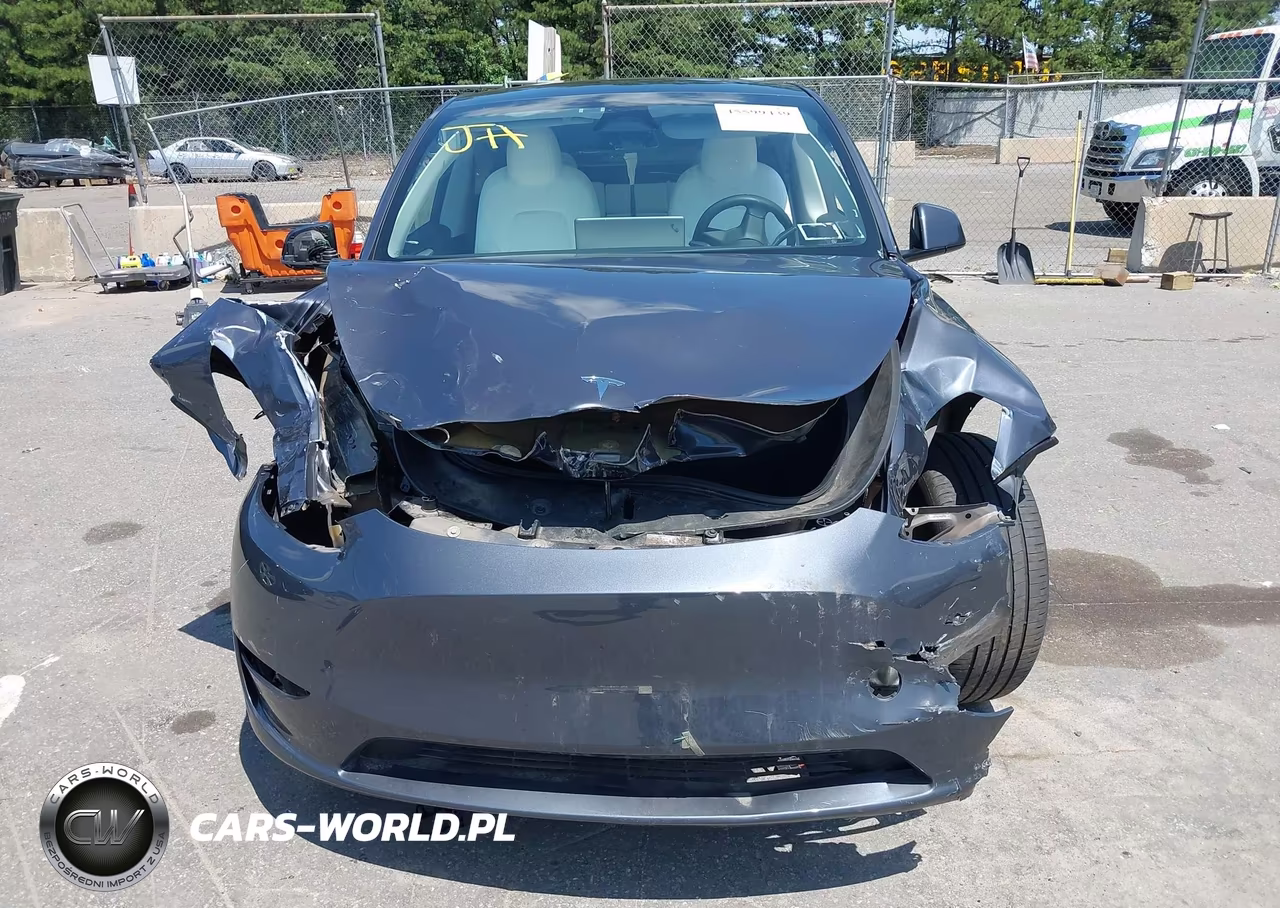 2023 Tesla Model Y Awd-Long Range Dual Motor All-Wheel Drive VIN:7SAYGDEE8PF861418 - 12