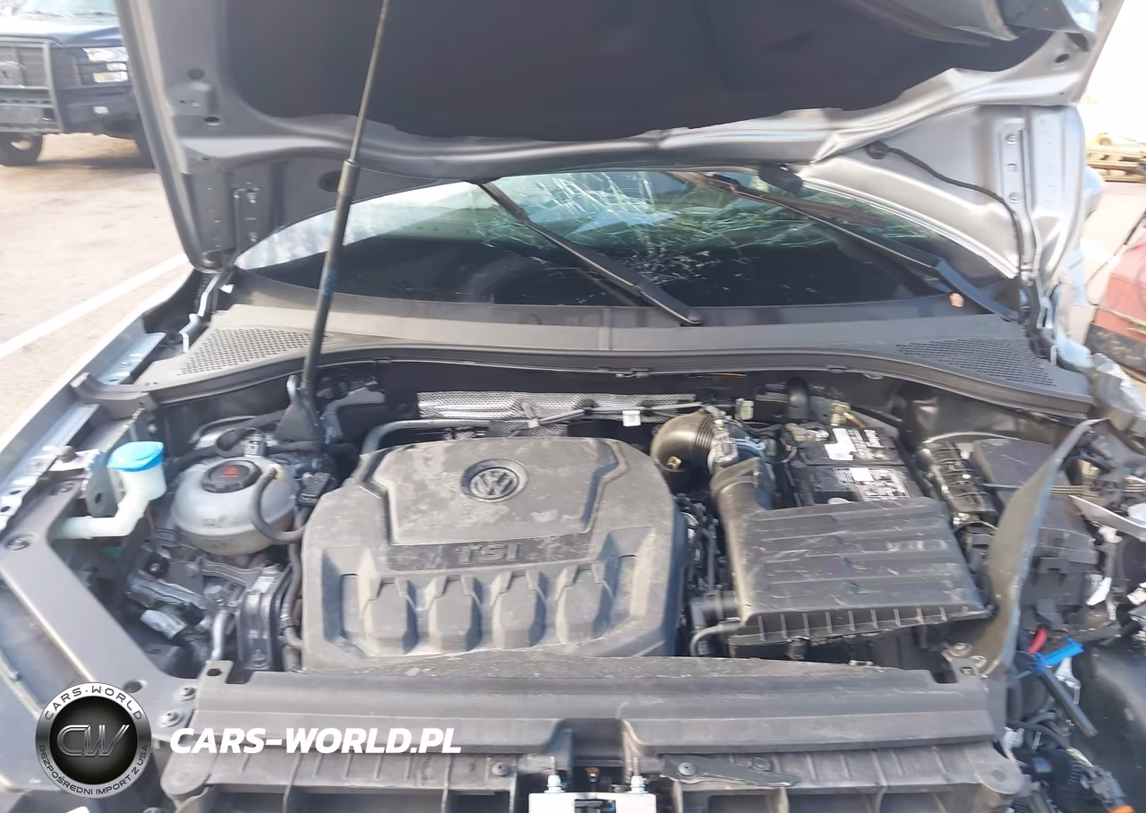 2019 Volkswagen Tiguan 2.0T S VIN:3VV1B7AX5KM189507 - 10