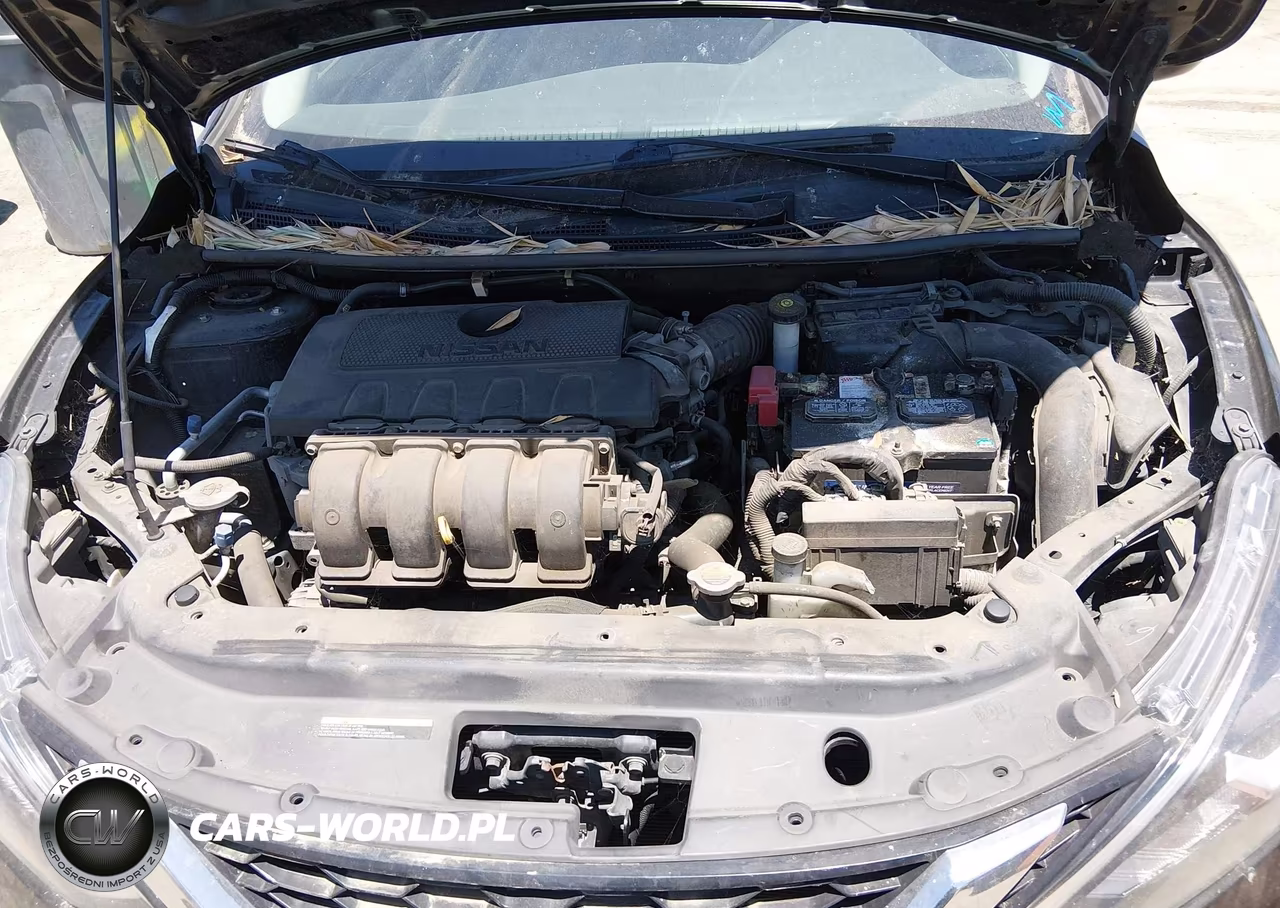 2016 Nissan Sentra S VIN:3N1AB7AP7GY295586 - 10